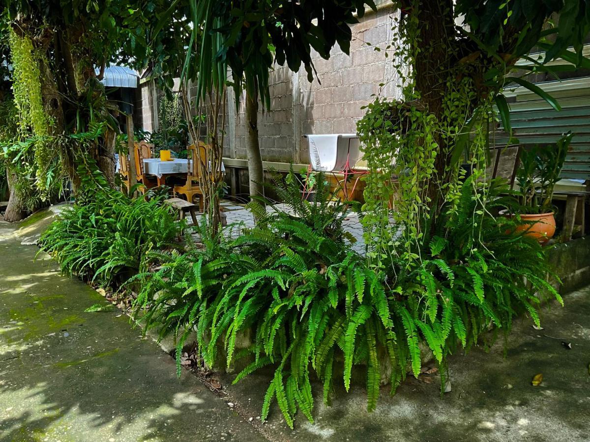 Kwanlah Homestay ماي تشايم المظهر الخارجي الصورة