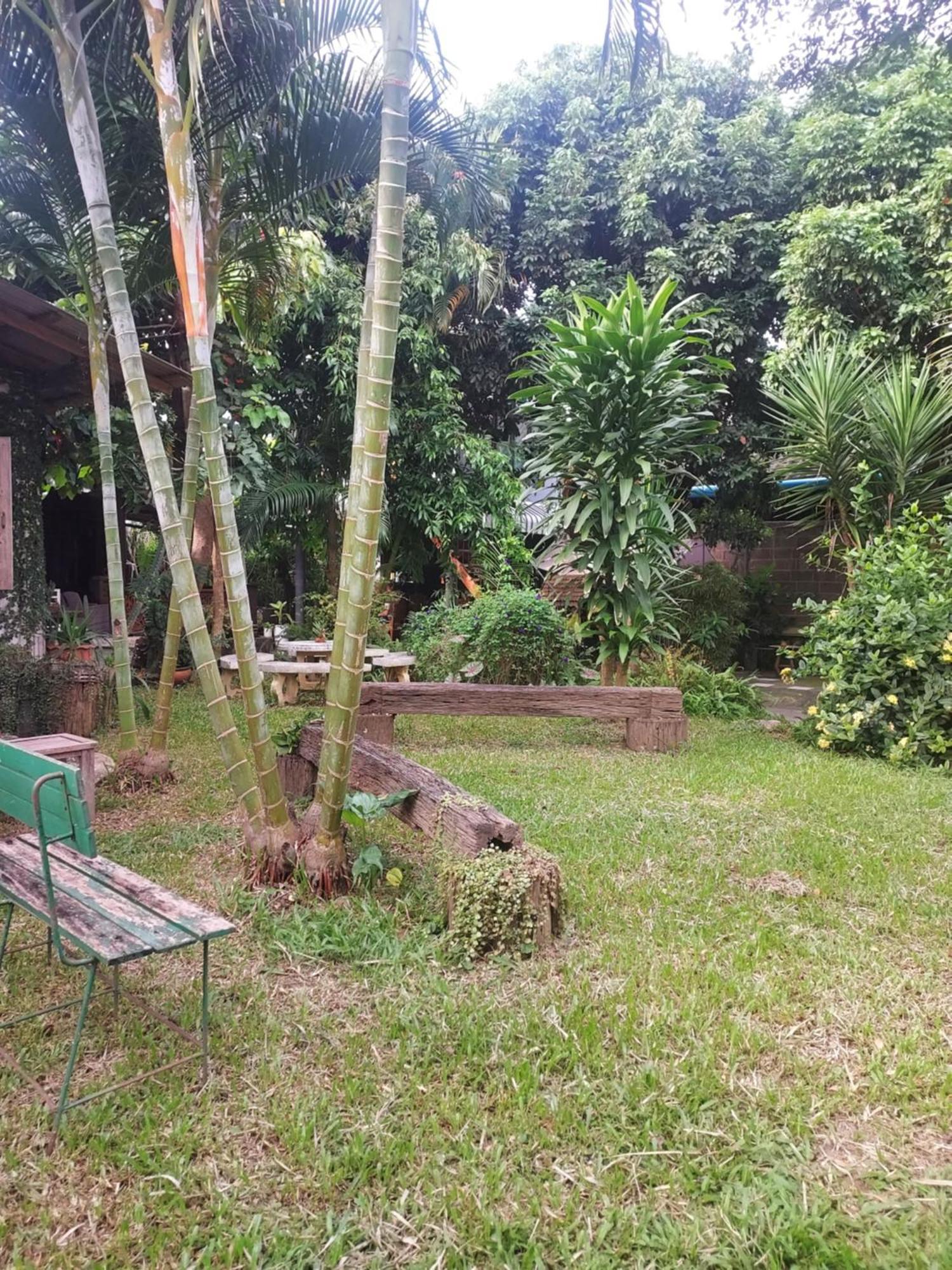 Kwanlah Homestay ماي تشايم المظهر الخارجي الصورة